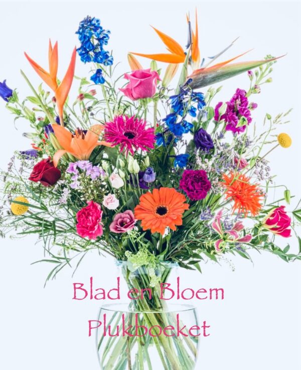 Plukboeket - Afbeelding 4